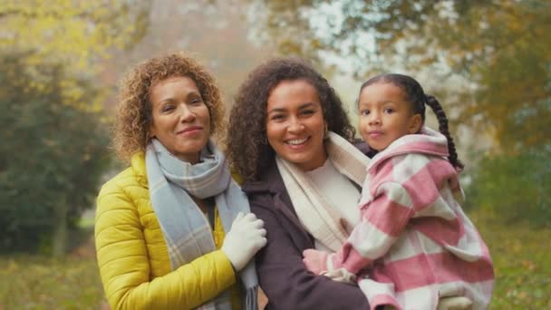 Sorrindo Multi Geração Família Feminina Segurando Neta Passeio Pelo Campo — Vídeo de Stock