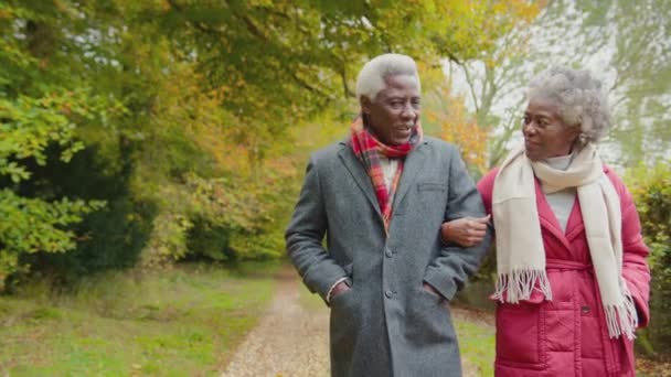 Aimant Couple Personnes Âgées Marchant Bras Dans Bras Travers Campagne — Video