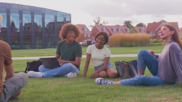 Grupa Studentów Uniwersyteckich Lub Studenckich Siedzieć Trawie Świeżym Powietrzu Kampusie — Wideo stockowe