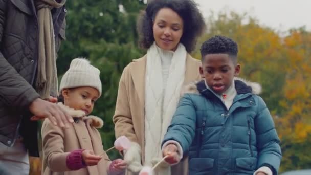 Rodinné Opékání Marshmallows Stojící Kolem Ohniště Nebo Gril Zahradě Doma — Stock video