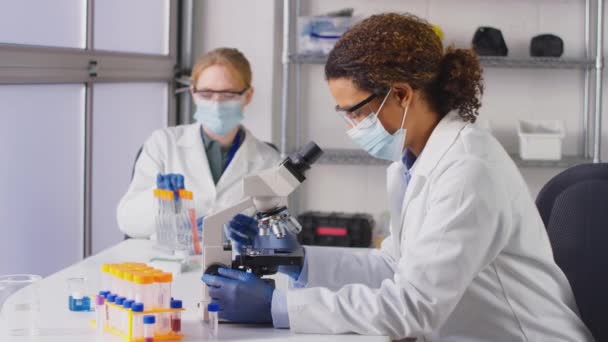Twee Vrouwelijke Laboratoriummedewerkers Dragen Pbm Die Bloedmonsters Analyseren Laboratorium Met — Stockvideo