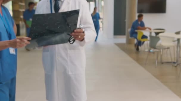 カメラトラックに沿って忙しい病院の廊下に男性医師に白いコートを着て議論患者スキャンで女性同僚身に着けているスクラブ スローモーションで撮影 — ストック動画