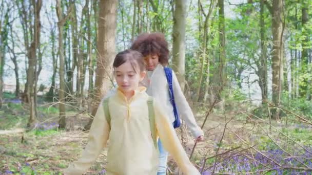Niño Niña Caminando Través Las Campanas Azules Bosque Primavera Balanceándose — Vídeos de Stock