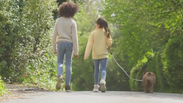 Bakifrån Pojke Och Flicka Promenader Längs Landsvägen Med Husdjur Fransk — Stockvideo