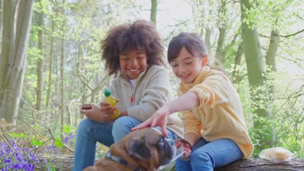 Junge Und Mädchen Gehen Mit Französischer Bulldogge Frühlingswald Spazieren Sitzen — Stockvideo