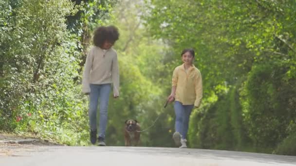 Niño Niña Caminando Por Camino Del Campo Con Mascota Bulldog — Vídeos de Stock