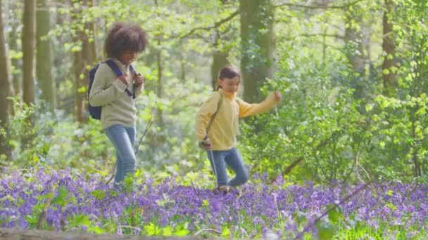 Хлопчик Дівчинка Взявши Собою Французького Бульдога Прогулянки Весняних Лісах Разом — стокове відео