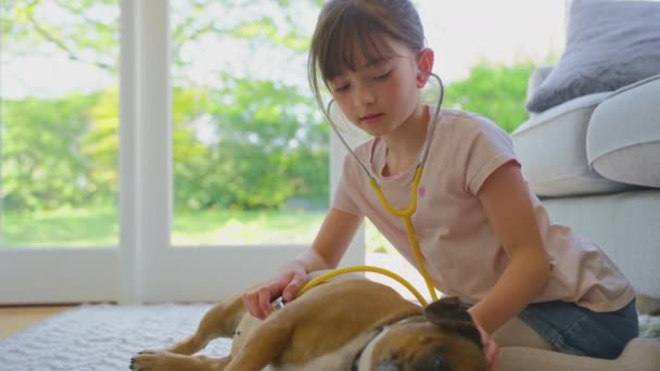 Menina Fingindo Ser Cirurgião Veterinário Casa Examinando Animal Estimação Bulldog — Vídeo de Stock