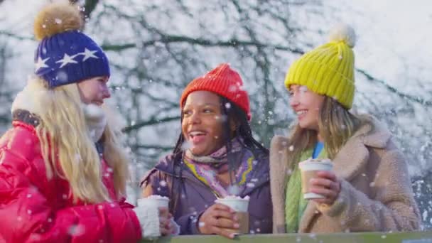 Kırsalda Karlı Kış Yürüyüşünde Sıcak Çikolatanın Tadını Çıkaran Genç Kızların — Stok video