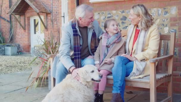 Evcil Golden Retriever Büyükanne Büyükbaba Dışarıda Torunlarıyla Oturuyorlar Kırsal Alanda — Stok video