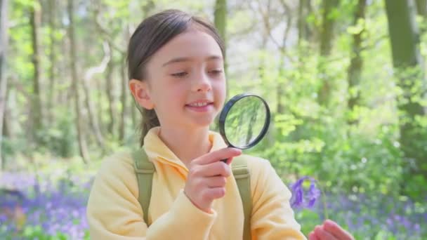 女の子は春の森の中を歩いてブルーベルを見て虫眼鏡で スローモーションで撮影 — ストック動画