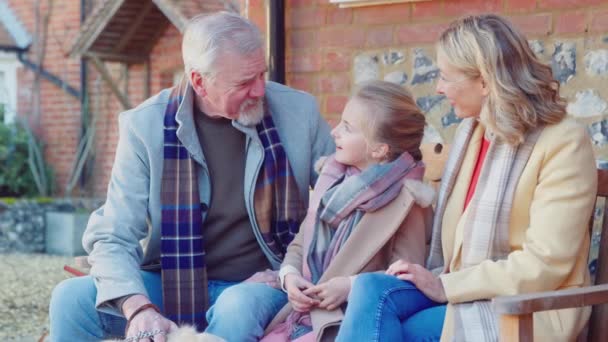 Großeltern Mit Haustier Golden Retriever Sitzen Mit Enkelin Vor Haus — Stockvideo