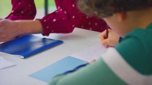 Ders Sırasında Sınıfta Kadın Öğretmenle Birlikte Erkek Öğrencinin Fotoğraflarını Çek — Stok video