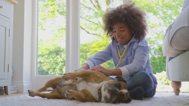 Boy Pretending Veterinary Surgeon Home Examining Pet French Bulldog Stethoscope — Stock Video