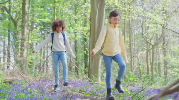 Хлопчик Дівчинка Йдуть Крізь Блакитні Дзвіночки Весняному Лісі Балансуючи Колоді — стокове відео