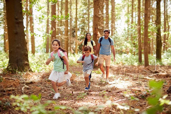 Family Backpacks Hiking Walking Woodland Countryside — Fotografia de Stock