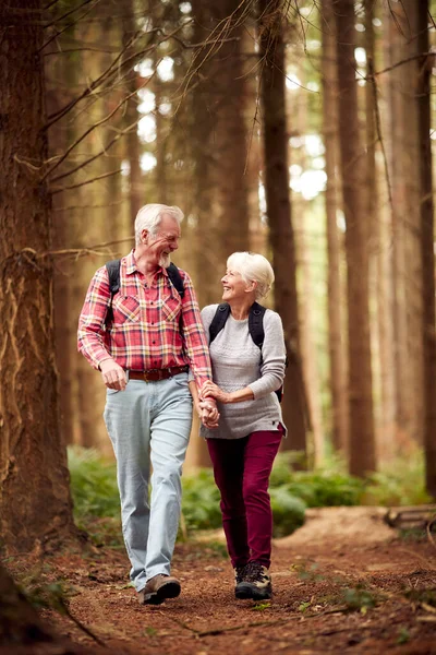 Loving Entired Senior Couple Hiking Woodland Countryside Together — стоковое фото