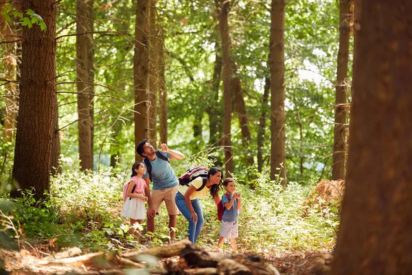 Family Backpacks Hiking Walking Woodland Countryside — Stockfoto