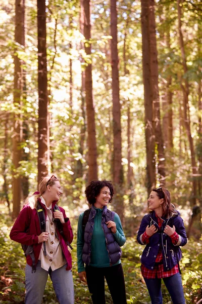 Portrait Female Friends Camping Holiday Hiking Woods Enjoying Nature Together — Stockfoto