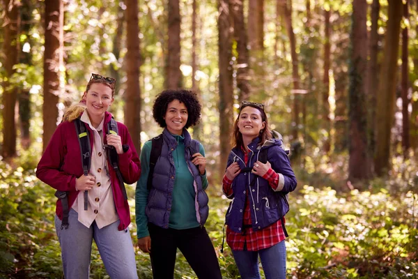 Portrait Female Friends Camping Holiday Hiking Woods Enjoying Nature Together — Stock Photo, Image
