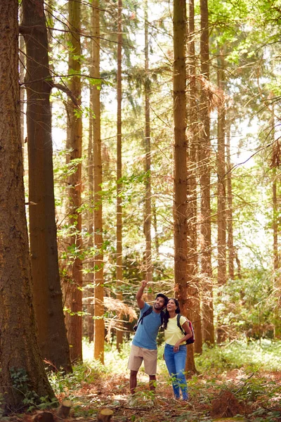 Couple Backpacks Hiking Walking Woodland Countryside — Stock fotografie