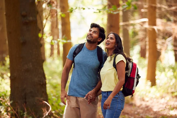 Couple Backpacks Hiking Walking Woodland Countryside — Stockfoto