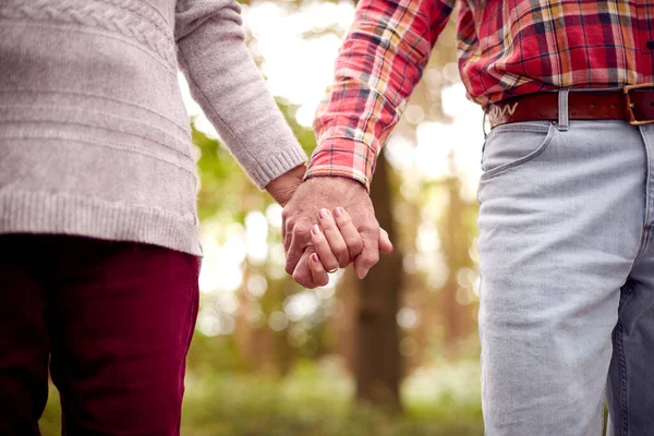 Close Loving Retired Senior Couple Holding Hands Walk Woodland Countryside — Foto de Stock