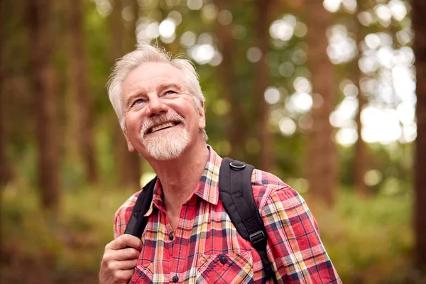 Active Retired Senior Man Walking Woodland Countryside Wearing Backpack — Zdjęcie stockowe