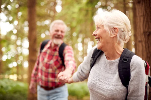 Loving Retired Senior Couple Holding Hands Hiking Woodland Countryside Together — Stockfoto