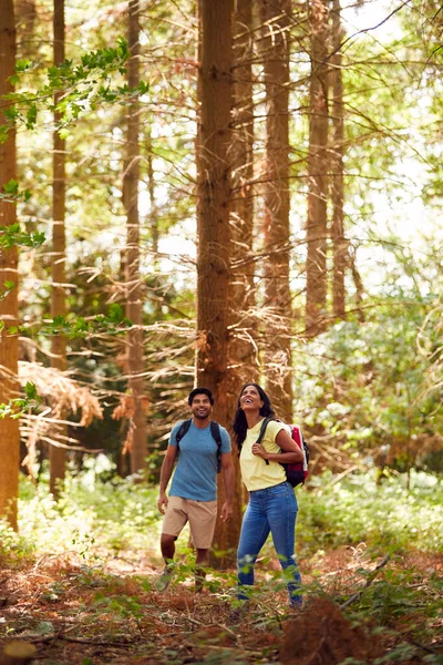 Couple Backpacks Hiking Walking Woodland Countryside — Foto de Stock