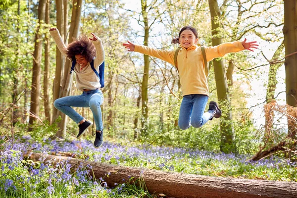 Two Children Walking Bluebell Woods Springtime Jumping Log — Fotografia de Stock