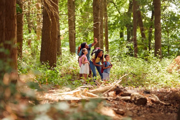 Family Backpacks Hiking Walking Woodland Countryside — Stock fotografie