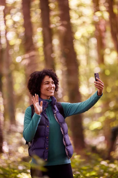Woman Hike Forest Having Video Call Mobile Phone — Photo