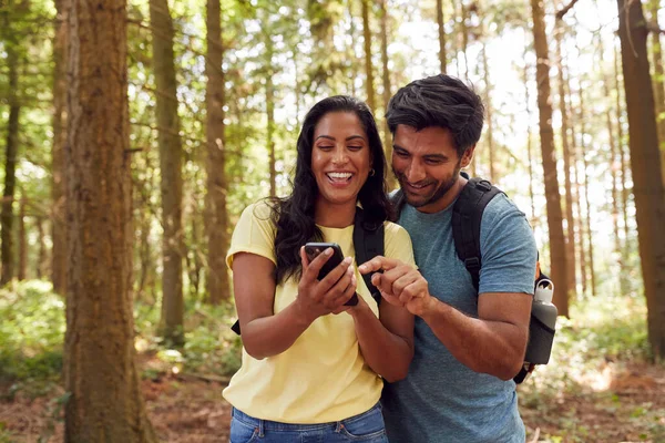 Couple Looking Photo Mobile Phone Hiking Walking Woodland Countryside — Stockfoto
