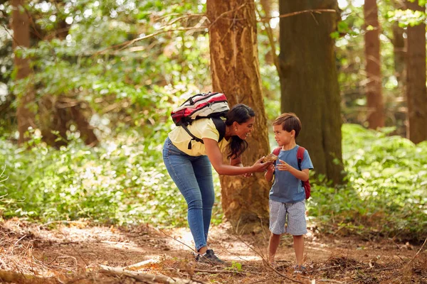 Mother Son Hiking Walking Woodland Countryside — Foto de Stock