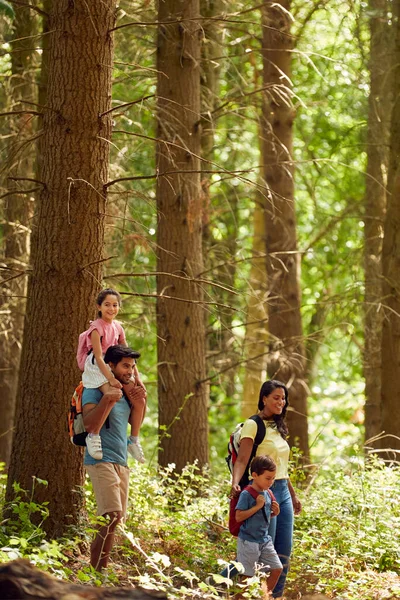 Family Backpacks Hiking Walking Woodland Countryside — Foto de Stock