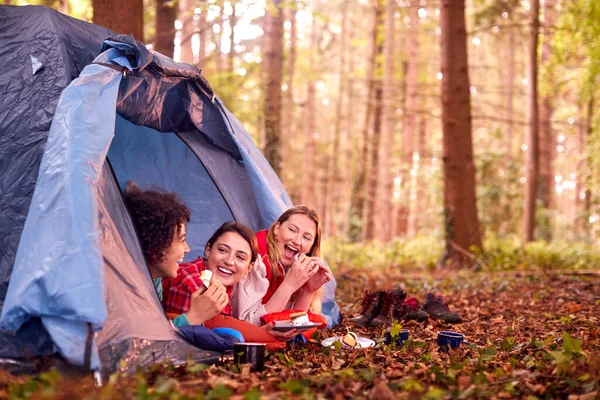 Group Female Friends Camping Holiday Forest Lying Tent Eating Mores — ストック写真