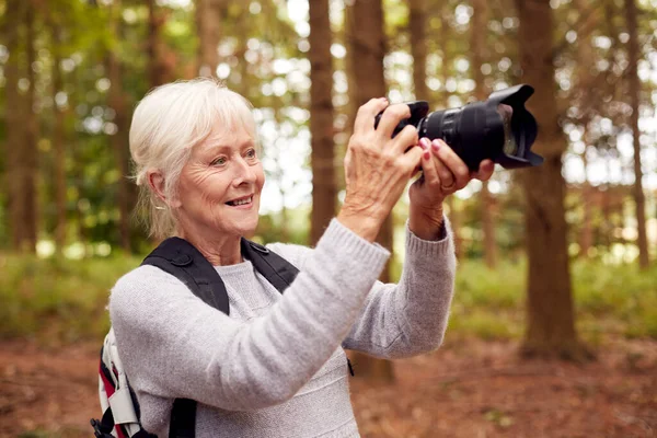 Retired Senior Woman Hiking Woodland Countryside Taking Photo Dslr Camera — Stockfoto