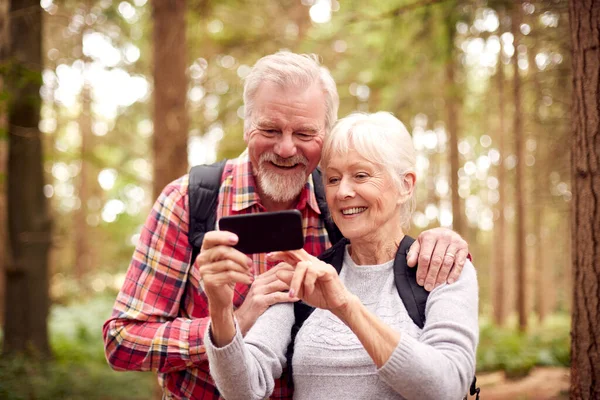 Пенсионерская Пара Пешие Прогулки Вудленде Фотография Мобильного Телефона — стоковое фото