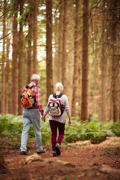 Rear View Loving Retired Senior Couple Holding Hands Hiking Woodland — Fotografia de Stock