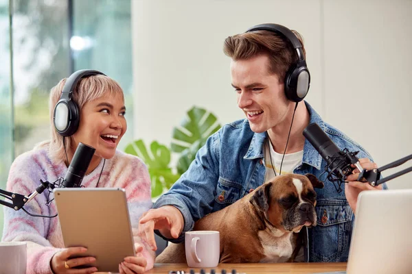 Couple Dog Recording Podcast Broadcasting Interview Radio Studio Home Laptop — 图库照片
