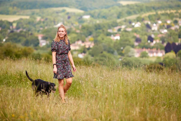 Woman Exercising Pet Labrador Dog Leash Summer Countryside — Stock Photo, Image