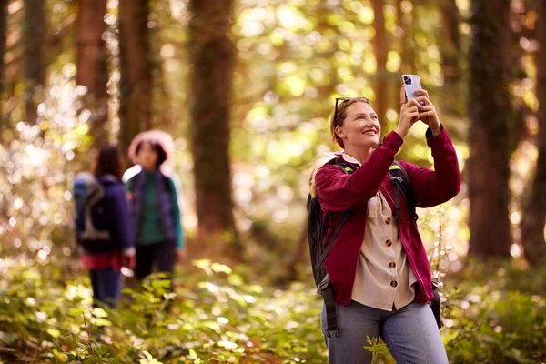 Woman Taking Photo Mobile Phone Group Female Friends Holiday Hike — Photo