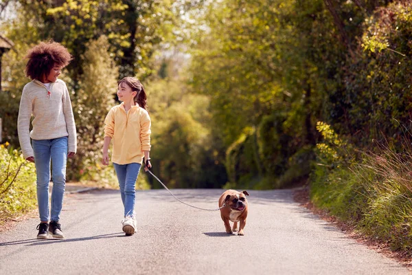 Two Children Walking Pet French Bulldog Dog Country Road 스톡 이미지