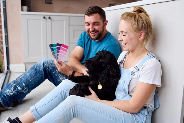 ペットと自宅で改装されたキッチンからのコーヒーブレイクでカップル Spaniel Dog Look Paint Swatch — ストック写真