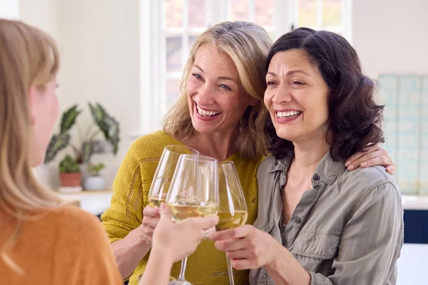 Gleicher Sex Reif Female Couple Mit Freund Celebrating Mit Glas — Stockfoto