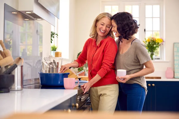 Loving Same Sex Mature Female Couple Kitchen Cooking Meal Together — Stock Photo, Image