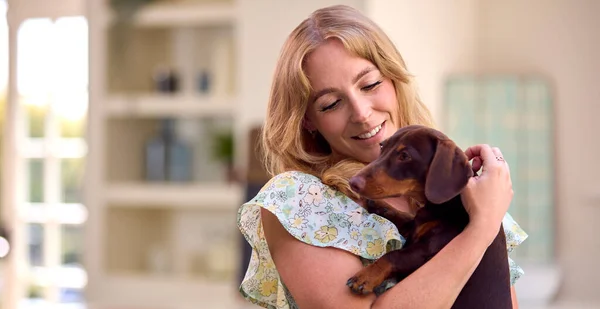 Mulher Casa Segurando Atordoando Animal Estimação Dachshund Dog Cozinha — Fotografia de Stock