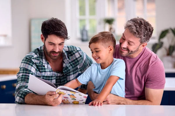2人のお父さんと息子と同じセックス家族一緒に自宅でキッチンで読書本 — ストック写真
