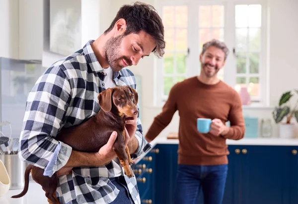 Aynı Cinsiyetten Erkek Çift Mutfakta Dachshund Köpeğini Okşuyor — Stok fotoğraf